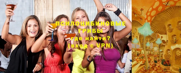 сатива Карталы
