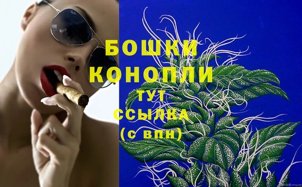 сатива Карталы