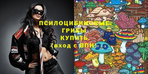 сатива Карталы