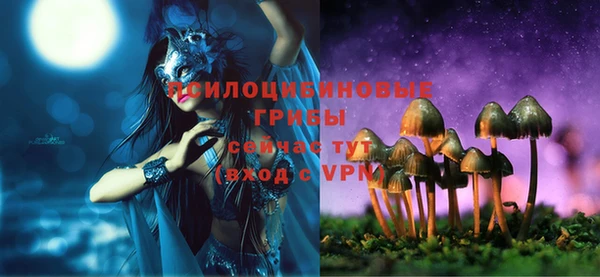 сатива Карталы