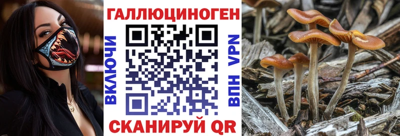 Купить  Пятигорск  Галлюциногенные грибы ЛСД 